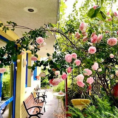 Hotel-Pension Puzwidu-3